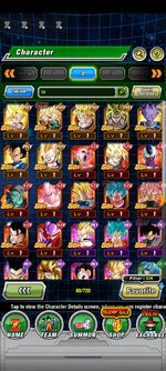 Screenshot_2022-12-17-09-31-50-497_com.bandainamcogames.dbzdokkanww.jpg
