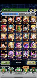 Screenshot_20221225-201713_Dokkan.jpg