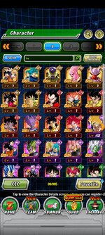 Screenshot_2022-12-26-03-59-14-203_com.bandainamcogames.dbzdokkanww.jpg