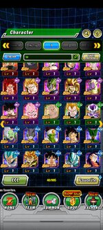 Screenshot_2022-12-26-03-59-23-396_com.bandainamcogames.dbzdokkanww.jpg