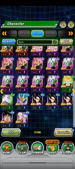 Screenshot_2022-12-26-03-59-37-176_com.bandainamcogames.dbzdokkanww.jpg