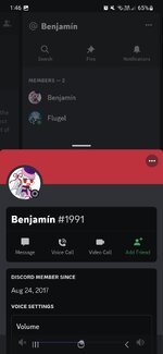 Screenshot_20221226_134652_Discord.jpg