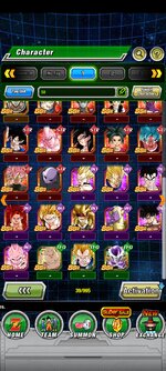 Screenshot_2022-12-27-08-40-01-631_com.bandainamcogames.dbzdokkanww.jpg