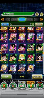 Screenshot_2022-12-28-11-34-51-247_com.bandainamcogames.dbzdokkanww.jpg
