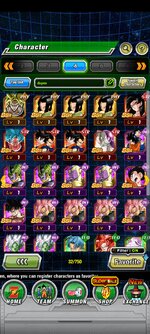 Screenshot_2023-01-01-11-51-04-271_com.bandainamcogames.dbzdokkanww.jpg