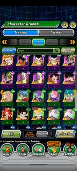 Screenshot_2023-01-02-08-39-46-008_com.bandainamcogames.dbzdokkanww.jpg