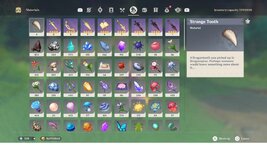 Materials 1.jpg