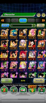Screenshot_2023-01-11-08-56-58-517_com.bandainamcogames.dbzdokkanww.jpg