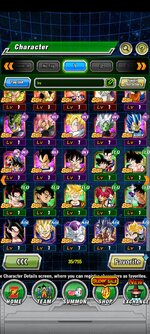 Screenshot_2023-01-11-08-57-01-138_com.bandainamcogames.dbzdokkanww.jpg