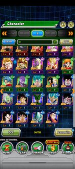 Screenshot_2023-01-11-08-57-06-118_com.bandainamcogames.dbzdokkanww.jpg