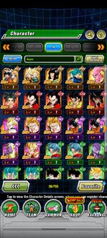 Screenshot_2023-01-11-08-57-11-242_com.bandainamcogames.dbzdokkanww.jpg