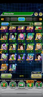 Screenshot_2023-01-13-09-30-43-053_com.bandainamcogames.dbzdokkanww.jpg