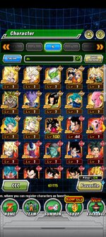 Screenshot_2023-01-13-09-32-17-430_com.bandainamcogames.dbzdokkanww.jpg