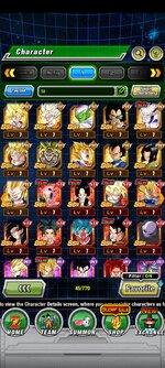 Screenshot_2023-01-17-19-44-31-226_com.bandainamcogames.dbzdokkanww.jpg