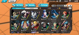 Screenshot_2023-01-17-23-31-54-072_com.bandainamcoent.opbrww.jpg