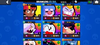bs9.jpg