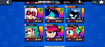 bs10.jpg