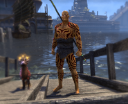 Skin 2.png
