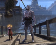 Skin 4.png