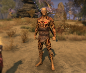 Skin 1.png
