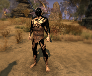 Skin 3.png