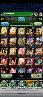 Screenshot_2023-01-28-15-03-52-778_com.bandainamcogames.dbzdokkanww.jpg