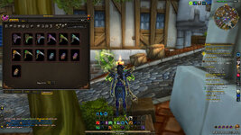 WoWScrnShot_013123_111354.jpg