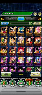 Screenshot_2023-01-31-19-24-06-727_com.bandainamcogames.dbzdokkanww.jpg