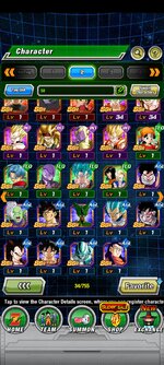 Screenshot_2023-01-31-19-24-16-841_com.bandainamcogames.dbzdokkanww.jpg