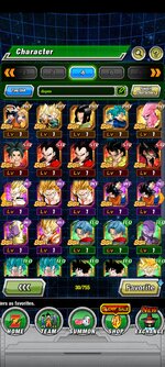 Screenshot_2023-01-31-19-24-23-375_com.bandainamcogames.dbzdokkanww.jpg