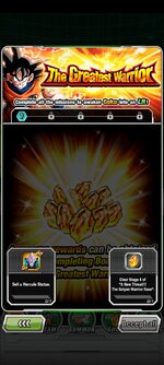 Screenshot_2023-01-31-19-24-40-295_com.bandainamcogames.dbzdokkanww.jpg