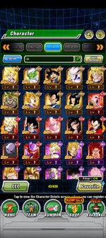 Screenshot_2023-02-02-17-15-43-373_com.bandainamcogames.dbzdokkanww.jpg