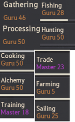 levelLifeskill.png