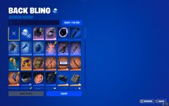 Back Blings.jpg
