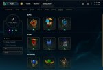 WARDS.jpg
