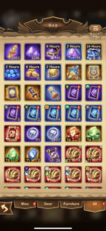 bag1.png