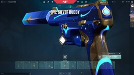 Buddy 3.jpg