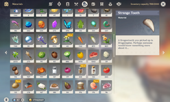 Genshin Impact Inventory8.png