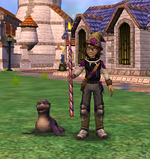 7.png