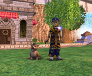 11.png
