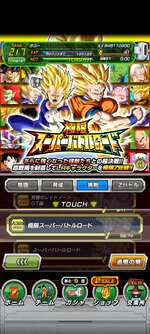 Screenshot_2023-02-21-10-21-18-098_com.bandainamcogames.dbzdokkan.jpg