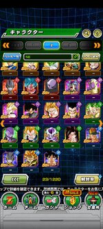Screenshot_2023-02-23-18-05-57-202_com.bandainamcogames.dbzdokkan.jpg