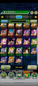 Screenshot_2023-02-23-18-06-33-059_com.bandainamcogames.dbzdokkan.jpg