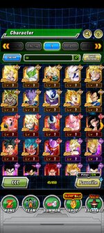 Screenshot_2023-03-04-16-45-13-604_com.bandainamcogames.dbzdokkanww.jpg
