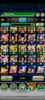 Screenshot_2023-03-09-20-19-18-272_com.bandainamcogames.dbzdokkanww.jpg