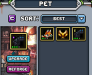 Pets bit.png