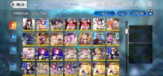 Screenshot_20230321-100646_FateGO.jpg