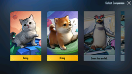 11.png