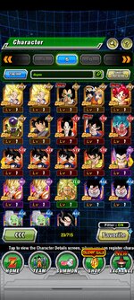 Screenshot_2023-03-29-21-43-39-526_com.bandainamcogames.dbzdokkanww.jpg