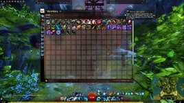 Inventory in Personal Trader Express(Perma).jpg